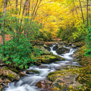 Autumn Falls