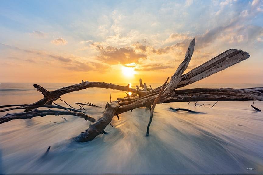 Driftwood at Lovers Key