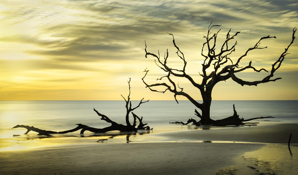 Standing Alone